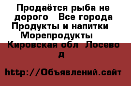 Продаётся рыба не дорого - Все города Продукты и напитки » Морепродукты   . Кировская обл.,Лосево д.